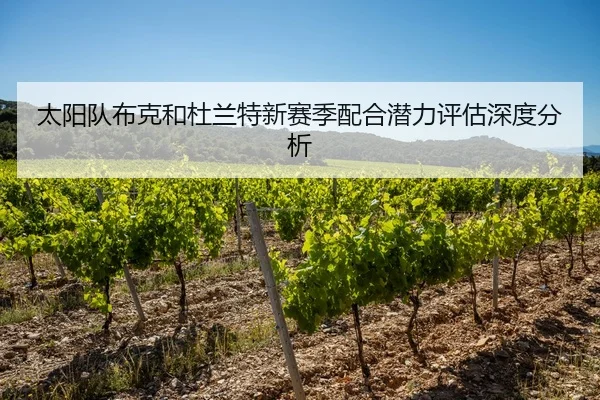 太阳队布克和杜兰特新赛季配合潜力评估深度分析